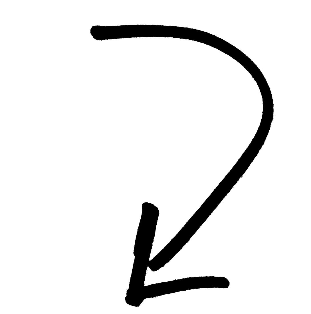 TENUM Beta
